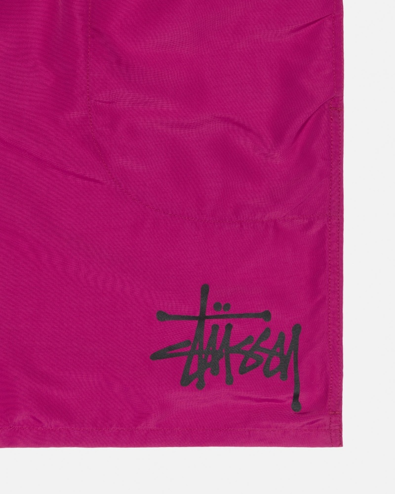 Stussy Mesh Big Basic Korte Broek Paars | 16208-BVAN