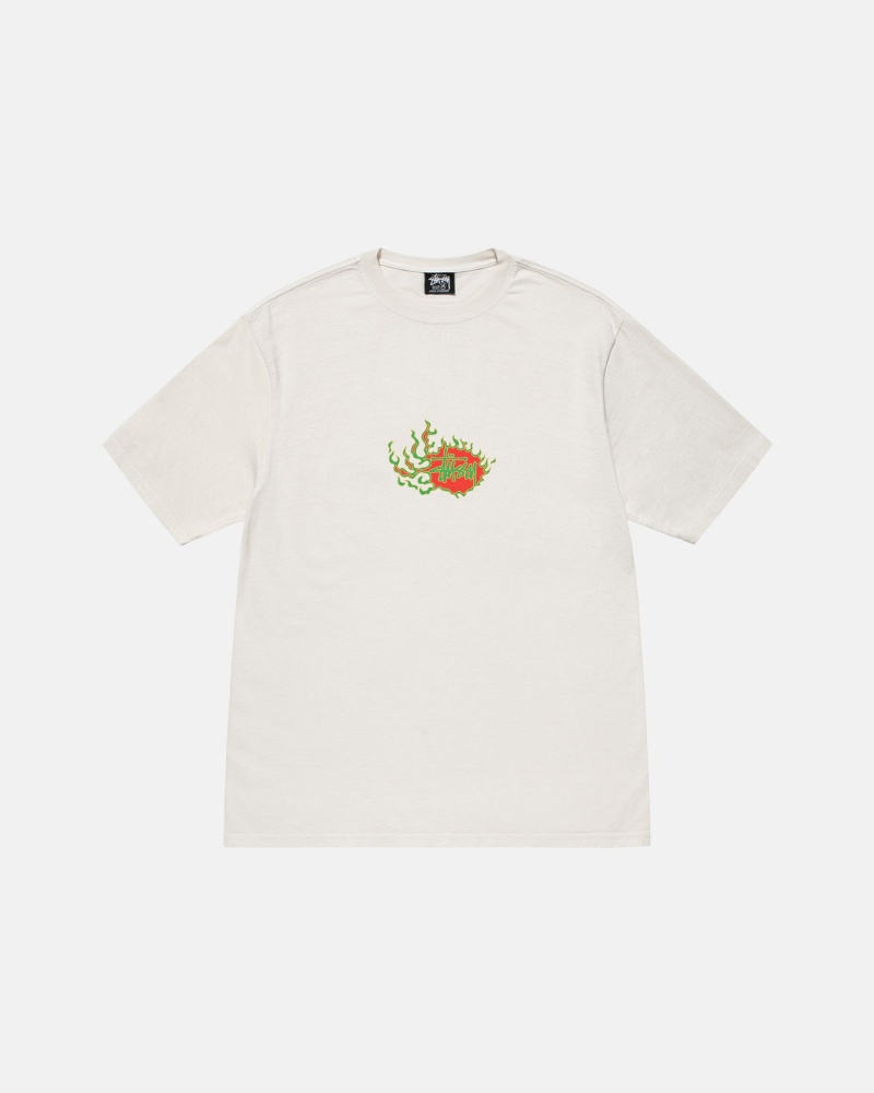 Stussy Mosaic Dragon T-shirts Beige | 29176-DXNI