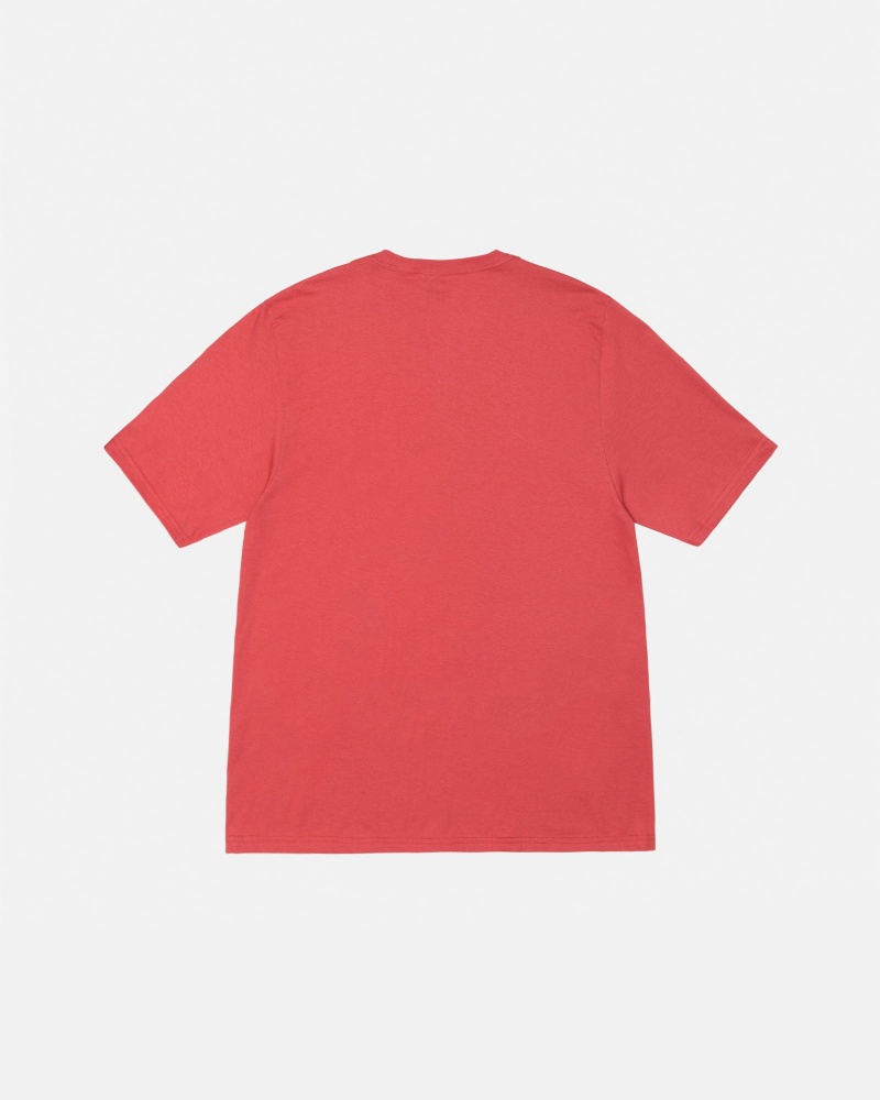 Stussy Stussy Lucha T-shirts Roze | 54182-NODI