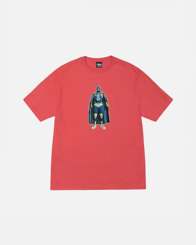 Stussy Stussy Lucha T-shirts Roze | 54182-NODI